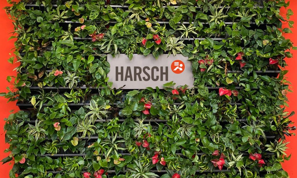 HARSCH‑Logo auf einer begrünten Pflanzenwand.